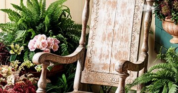 Aperçu de la carte : Dimanche Paisible