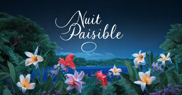 Aperçu de la carte : « Nuit Paisible... »