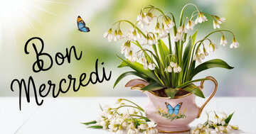 Aperçu de la carte : Bon Mercredi