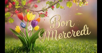 Aperçu de la carte : Bon Mercredi