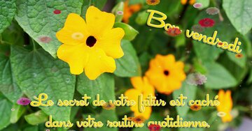 Aperçu de la carte : « Le secret de votre futur est caché dans votre routine... »