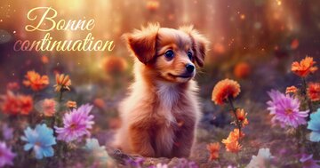 Aperçu de la carte : Bonne continuation