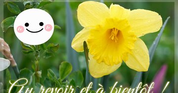 Aperçu de la carte : Au revoir et à bientôt !