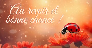 Aperçu de la carte : une coccinelle, flowers background  Au revoir et bonne chance !