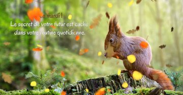 Aperçu de la carte : « Le secret de votre futur est caché... »