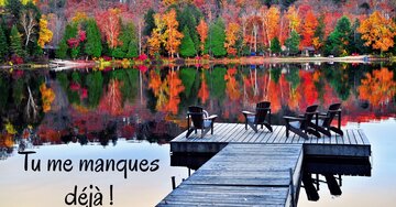Aperçu de la carte : Tu me manques déjà !