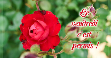 Aperçu de la carte : Le vendredi c'est permis !