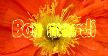 Aperçu de la carte : Bon mardi