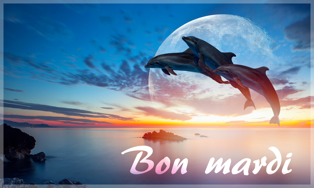 Trois dauphins bondissent au-dessus d'une mer calme au crépuscule, sur fond d'un ciel coloré et d'une immense lune irréelle.