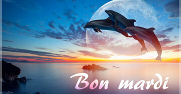 Aperçu de la carte : Bon mardi