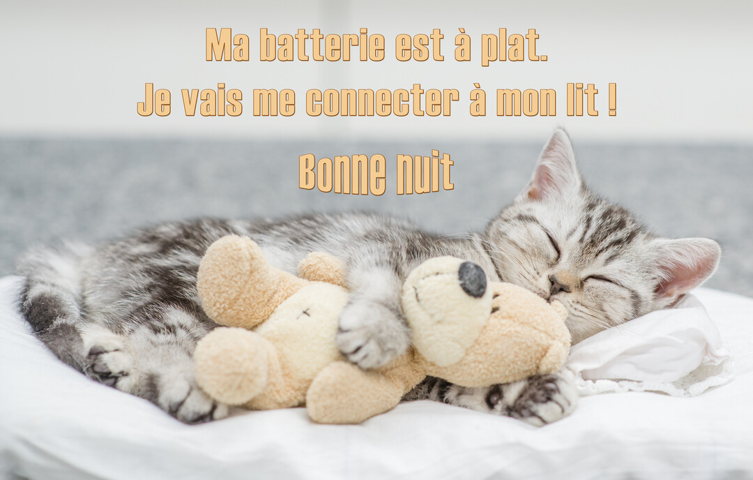 Un jeune chaton tigré gris et blanc dort profondément sur un coussin blanc, enlaçant un petit ours en peluche de couleur beige.