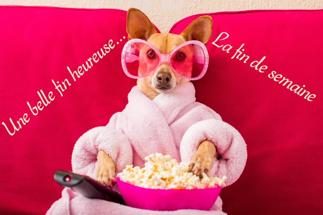 Un petit chien beige en peignoir rose est assis sur un canapé fuchsia, portant des lunettes roses et tenant du pop-corn et une télécommande.