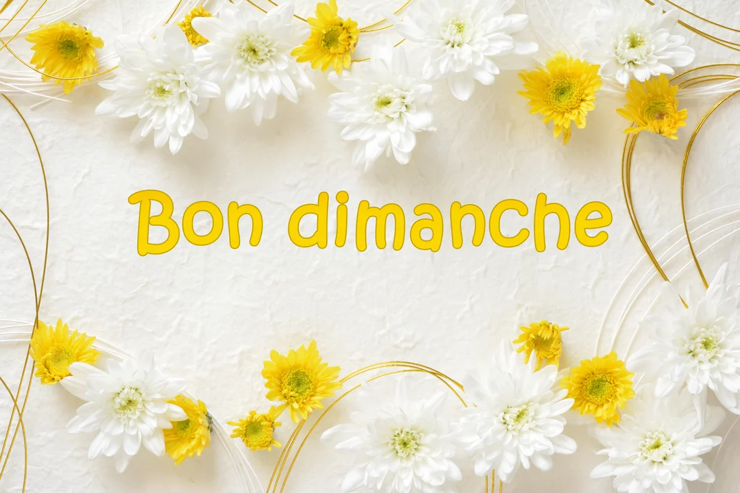 Le texte 'Bon dimanche' est écrit en jaune au centre d'un fond clair, encadré par des chrysanthèmes blancs et jaunes et des fils décoratifs.