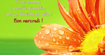 Aperçu de la carte : « Tu es comme la rosée du matin, douce, fraîche et belle... »