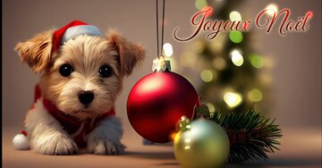 Aperçu de la carte : Joyeux Noël