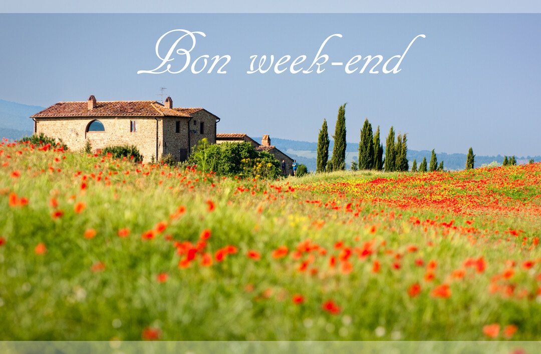 Un paysage de campagne italienne ensoleillée montrant une maison en pierre sur une colline, entourée par un champ de coquelicots rouges.
