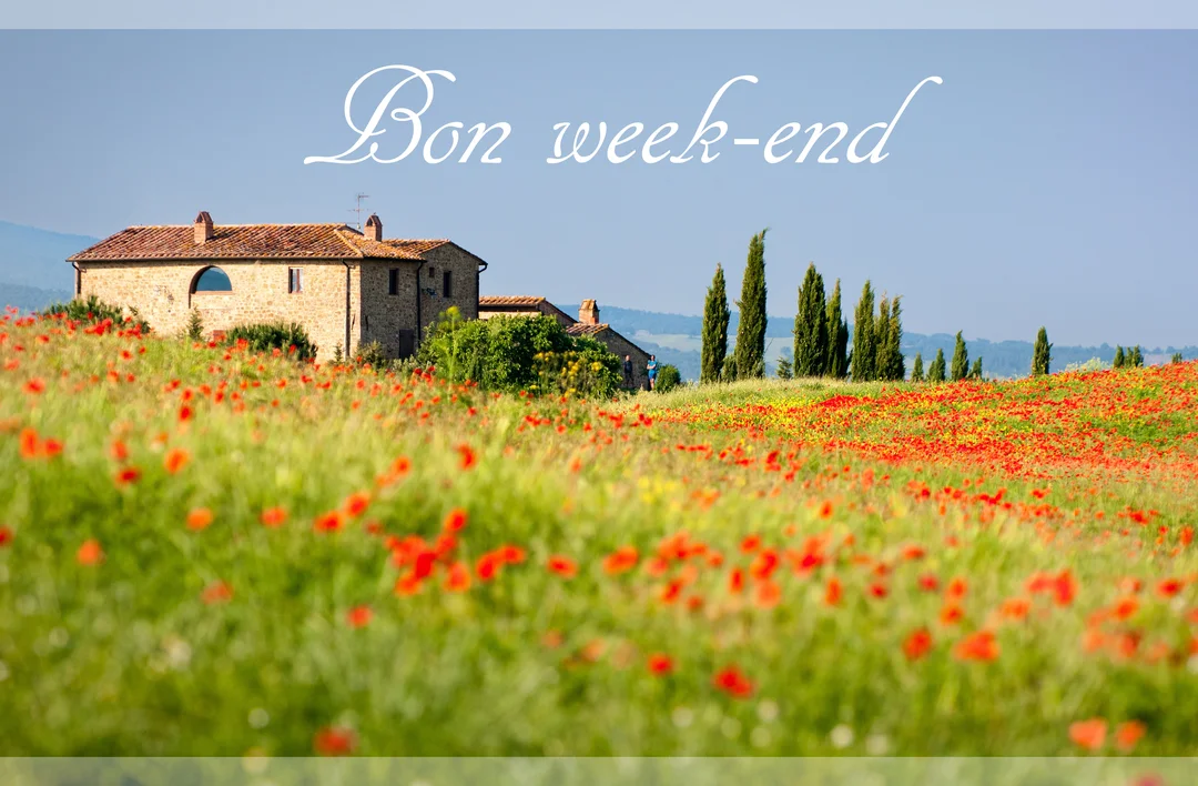 Un paysage de campagne italienne ensoleillée montrant une maison en pierre sur une colline, entourée par un champ de coquelicots rouges.
