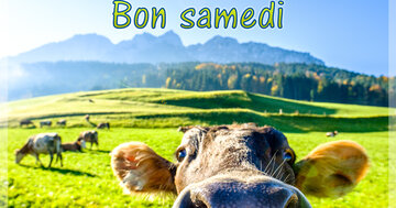 Aperçu de la carte : Bon samedi