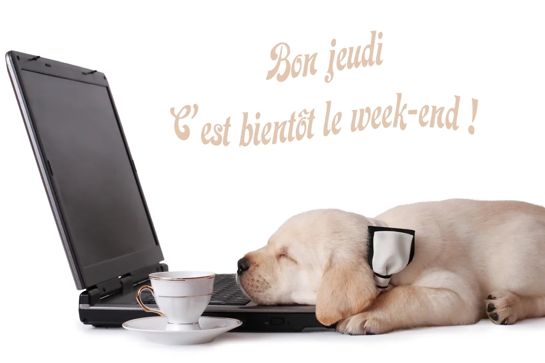 Un chiot labrador couleur crème endormi sur le clavier d'un ordinateur portable, à côté d'une petite tasse à café sur fond blanc.