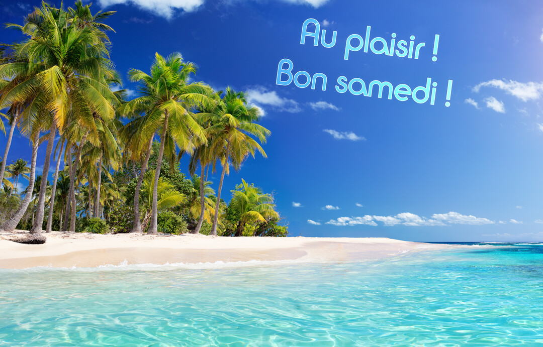 Un paysage de plage tropicale paradisiaque avec des palmiers luxuriants, du sable blanc et une eau turquoise sous un ciel bleu dégagé.