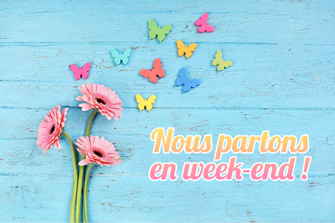 Sur un fond de bois bleu, trois gerberas roses sont posés à gauche, tandis que des papillons en papier multicolores semblent s'envoler vers le haut.