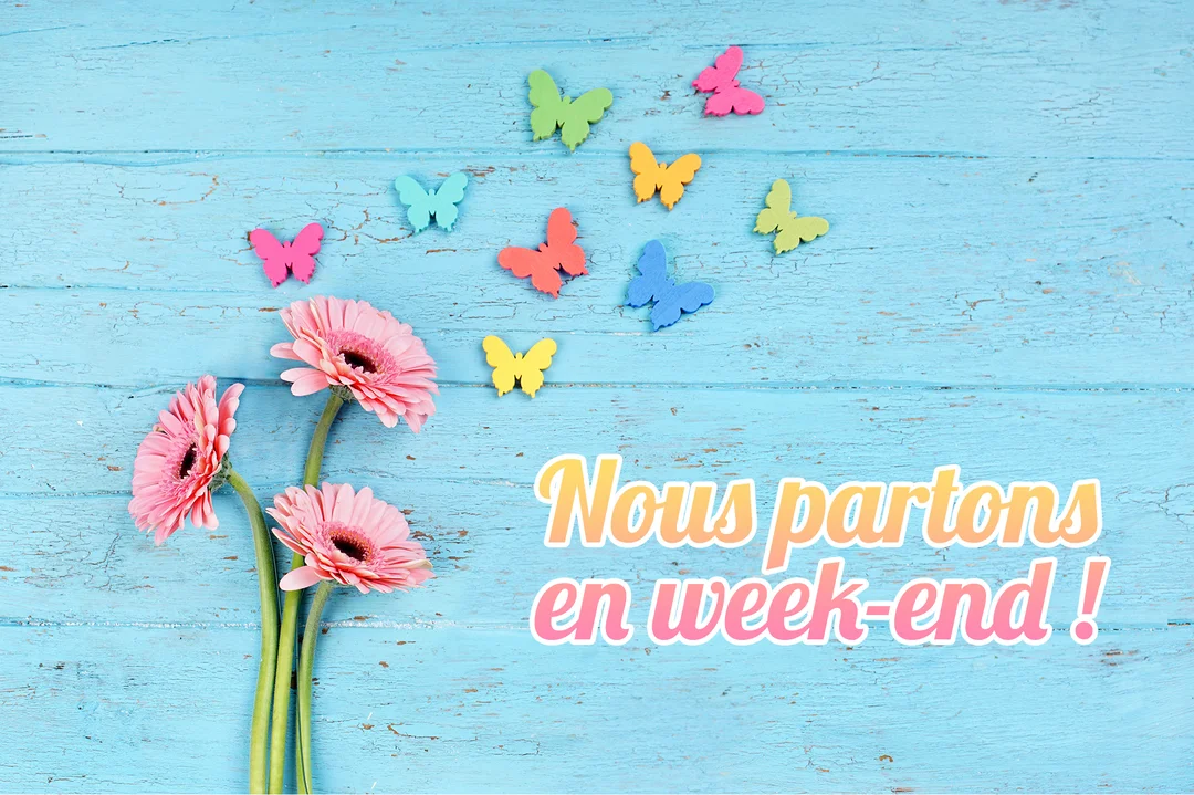 Sur un fond de bois bleu, trois gerberas roses sont posés à gauche, tandis que des papillons en papier multicolores semblent s'envoler vers le haut.