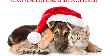 Aperçu de la carte : Bon réveillon avec toute mon amitié