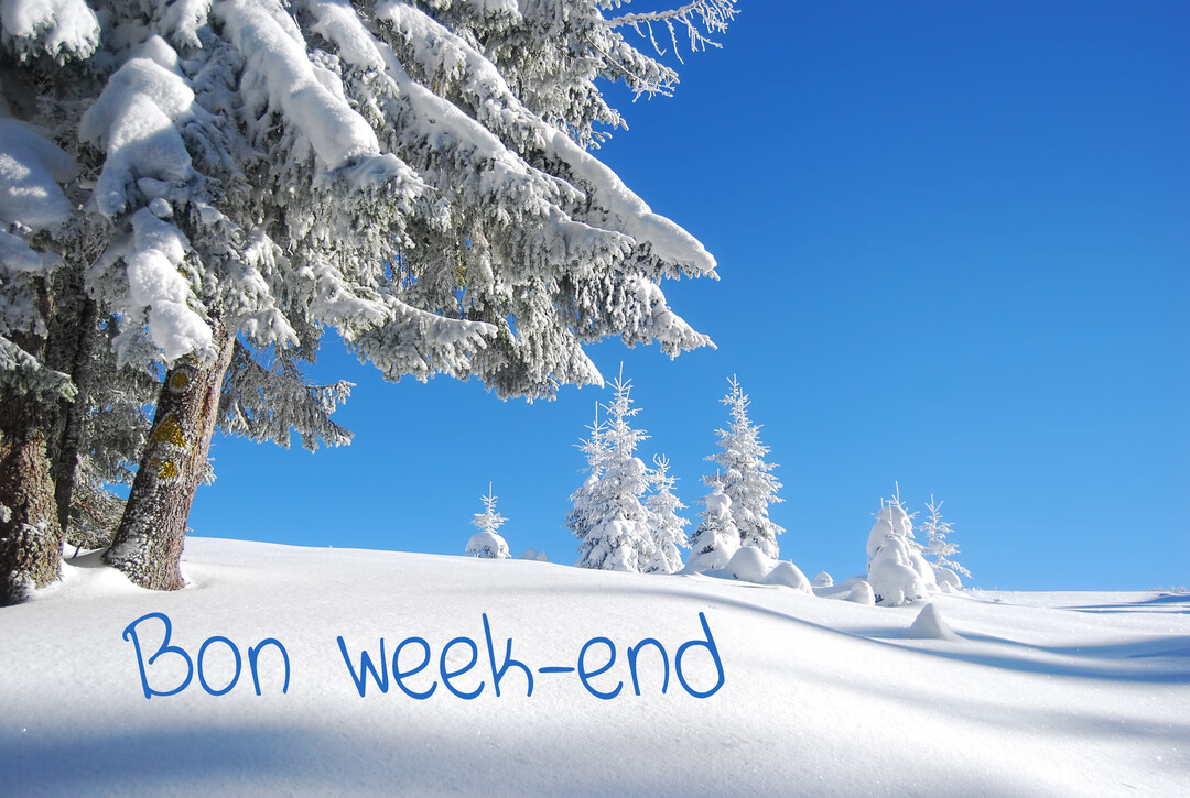 Un paysage hivernal ensoleillé avec des sapins chargés de neige au premier plan et une colline enneigée sous un ciel bleu vif.
