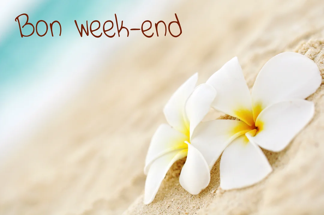 Deux fleurs de frangipanier blanches à cœur jaune reposent sur du sable chaud, avec une mer turquoise floue en fond et l'inscription 'Bon week-end'.