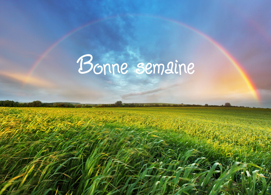 Un champ d'herbes vertes luxuriantes s'étend sous un ciel bleu nuageux traversé par un grand arc-en-ciel, avec l'inscription 'Bonne semaine'.