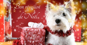 Aperçu de la carte : Bon réveillon de Noël