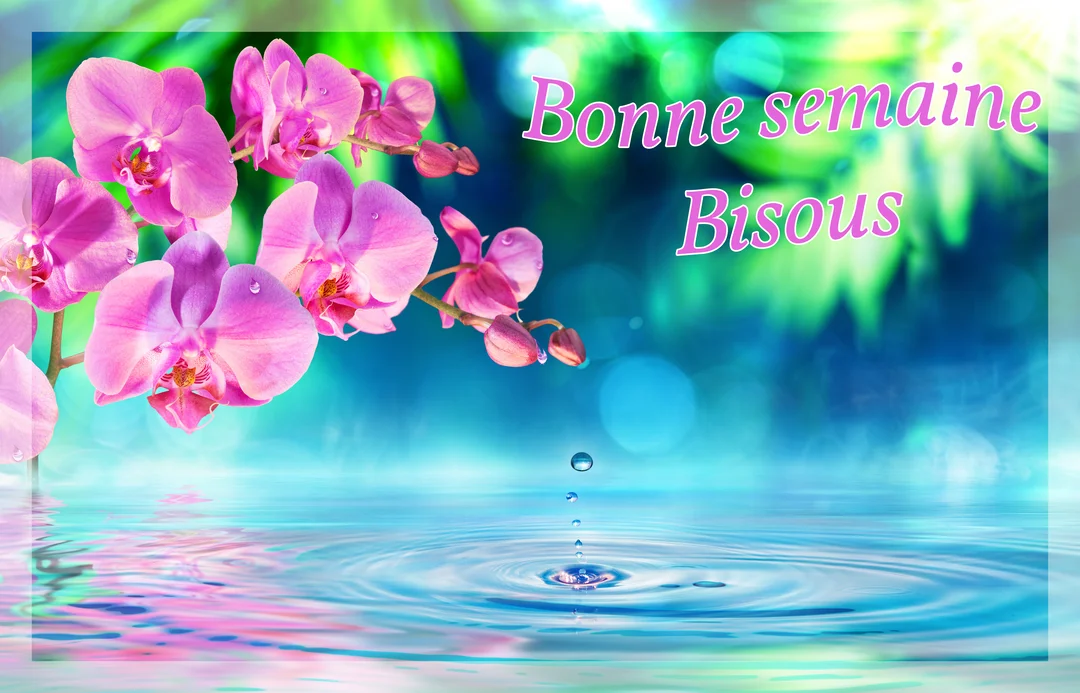 Une branche d'orchidées roses et violettes surplombe une surface d'eau calme, avec des ondulations et un fond bleu et vert flouté.