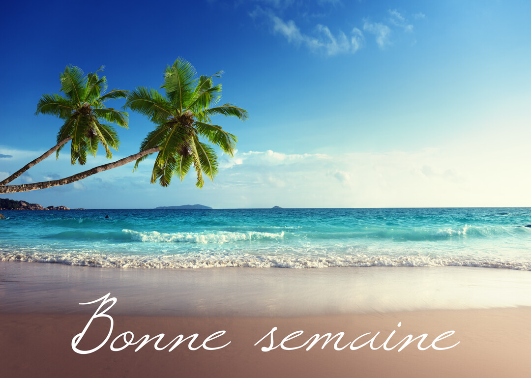 Paysage de plage tropicale avec deux palmiers penchés sur une mer turquoise, sous un ciel bleu, avec l'inscription 'Bonne semaine' au premier plan.