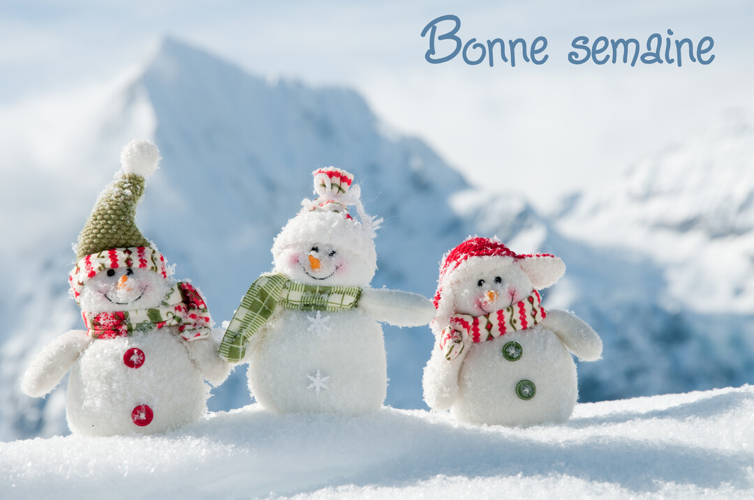 Trois petits bonhommes de neige en tissu, coiffés de bonnets et d'écharpes, posent joyeusement sur une étendue neigeuse devant des montagnes.