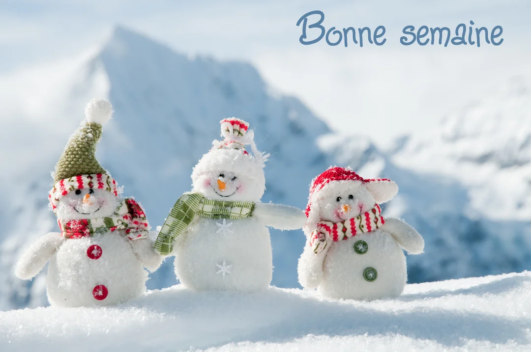 Trois petits bonhommes de neige en tissu, coiffés de bonnets et d'écharpes, posent joyeusement sur une étendue neigeuse devant des montagnes.