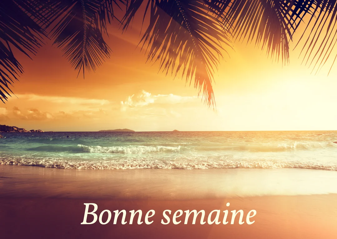 Paysage de plage exotique au coucher du soleil, avec l'océan, des vagues et des palmiers en premier plan, et le texte 'Bonne semaine'.