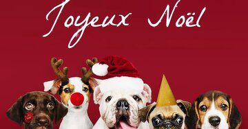 Aperçu de la carte : Joyeux Noël