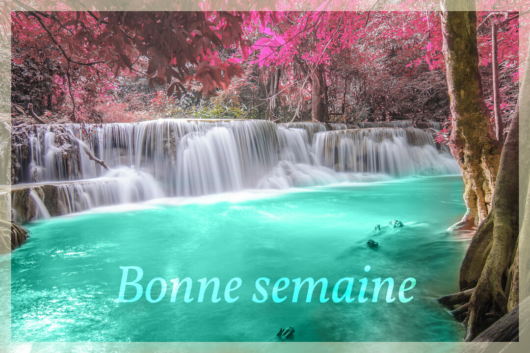 Photographie d'une cascade à l'eau turquoise et au courant laiteux, entourée par une forêt dont le feuillage est d'un rose éclatant.
