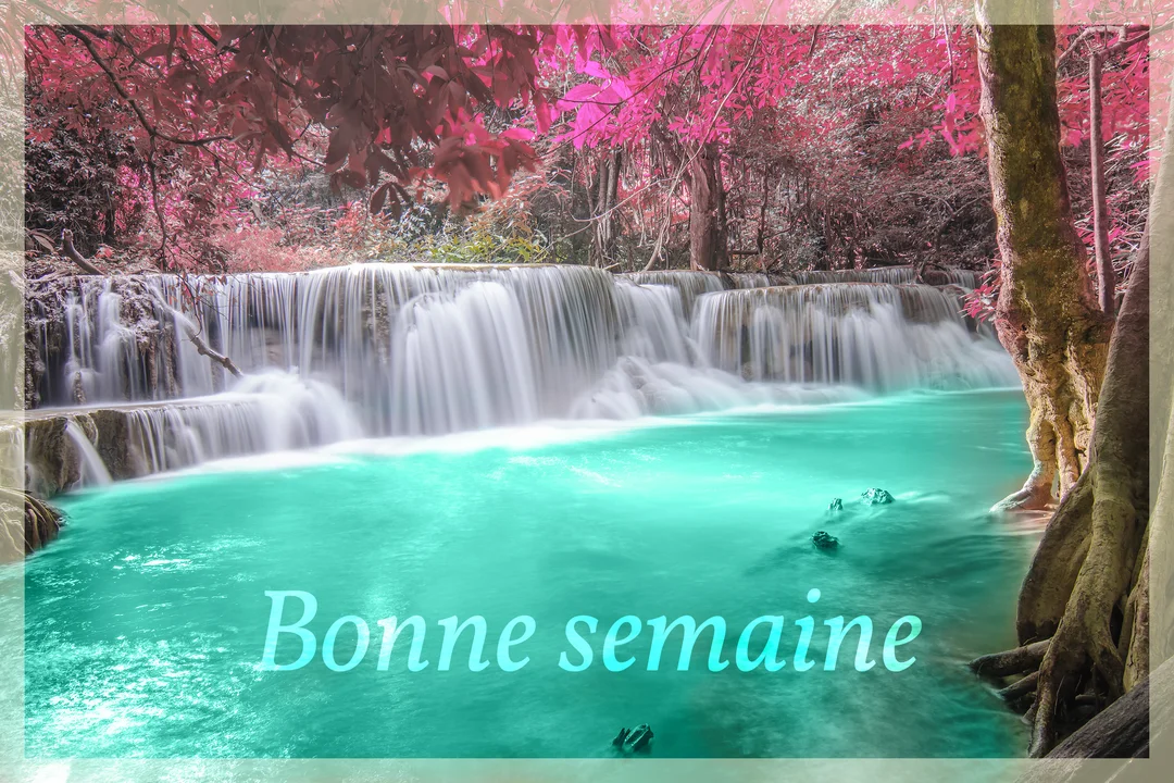Photographie d'une cascade à l'eau turquoise et au courant laiteux, entourée par une forêt dont le feuillage est d'un rose éclatant.