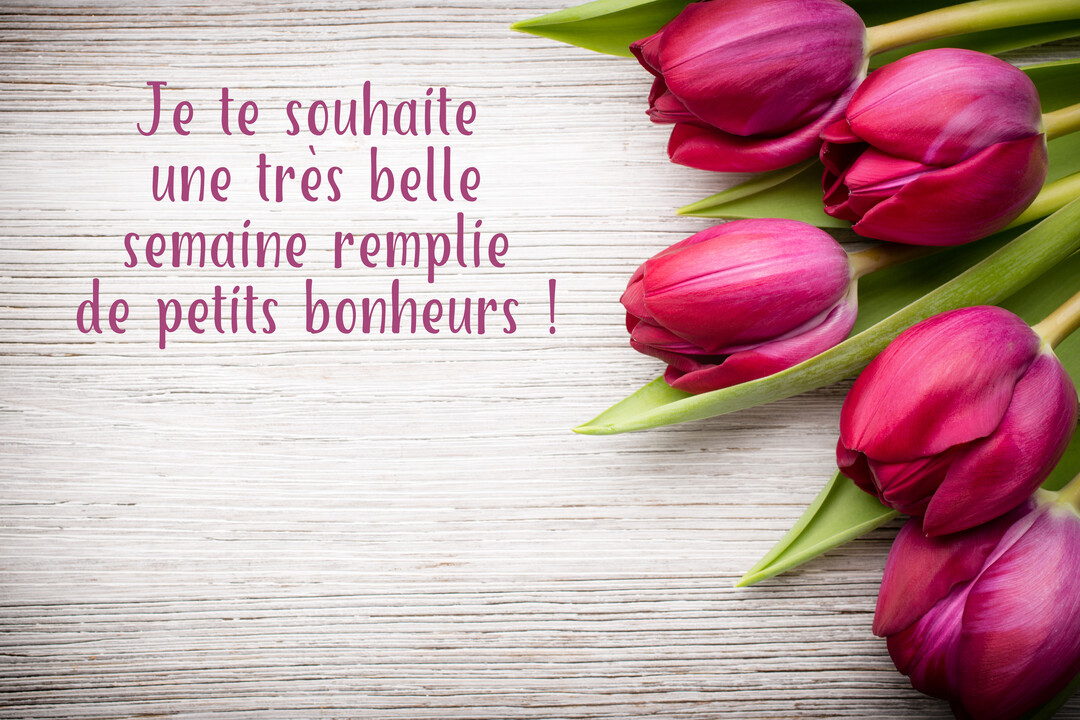 Un bouquet de tulipes roses est disposé sur un fond en bois clair, à côté du message 'Je te souhaite une très belle semaine remplie de petits bonheurs !'.