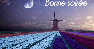 Aperçu de la carte : Bonne soirée