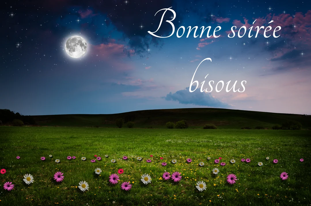 Un paysage nocturne onirique montrant un champ d'herbe parsemé de fleurs, sous un ciel étoilé avec une grande pleine lune brillante.