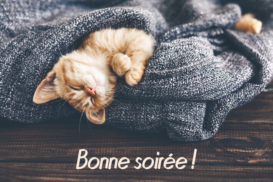 Un petit chaton roux dort profondément, enroulé dans une épaisse couverture tricotée grise, posée sur une surface en bois sombre.