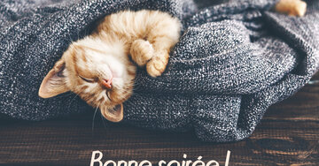 Aperçu de la carte : Bonne soirée