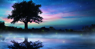 Aperçu de la carte : Bonne nuit ma douce