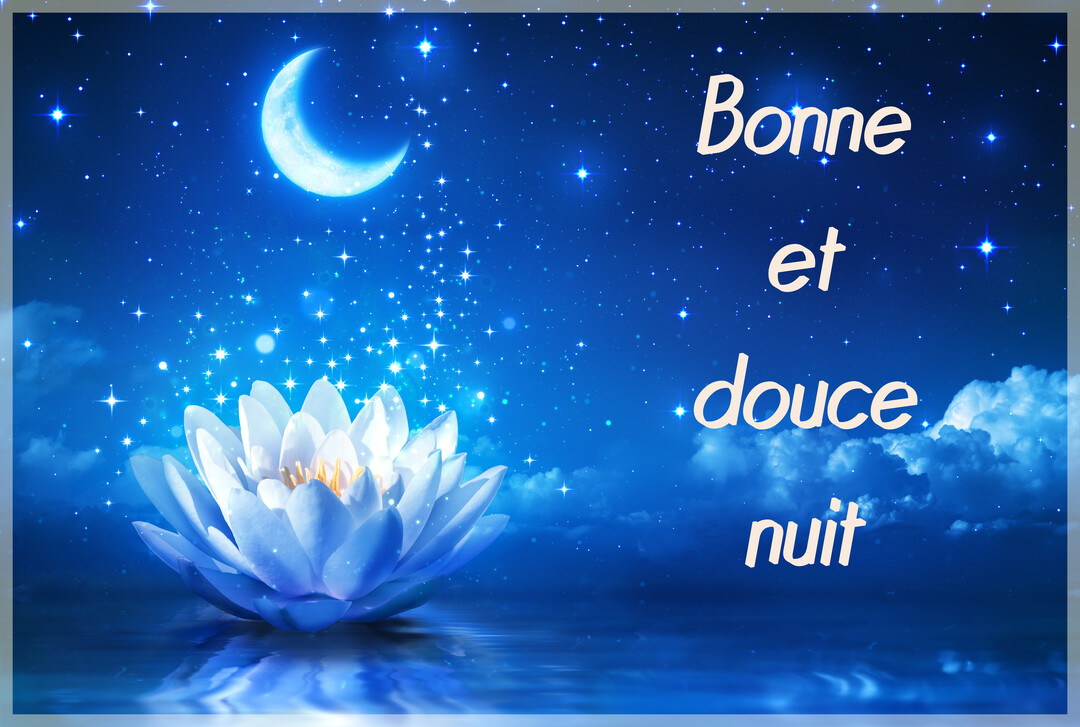 Une fleur de lotus bleutée flotte sur l'eau, sous un ciel nocturne bleu foncé parsemé d'étoiles scintillantes et d'un croissant de lune.