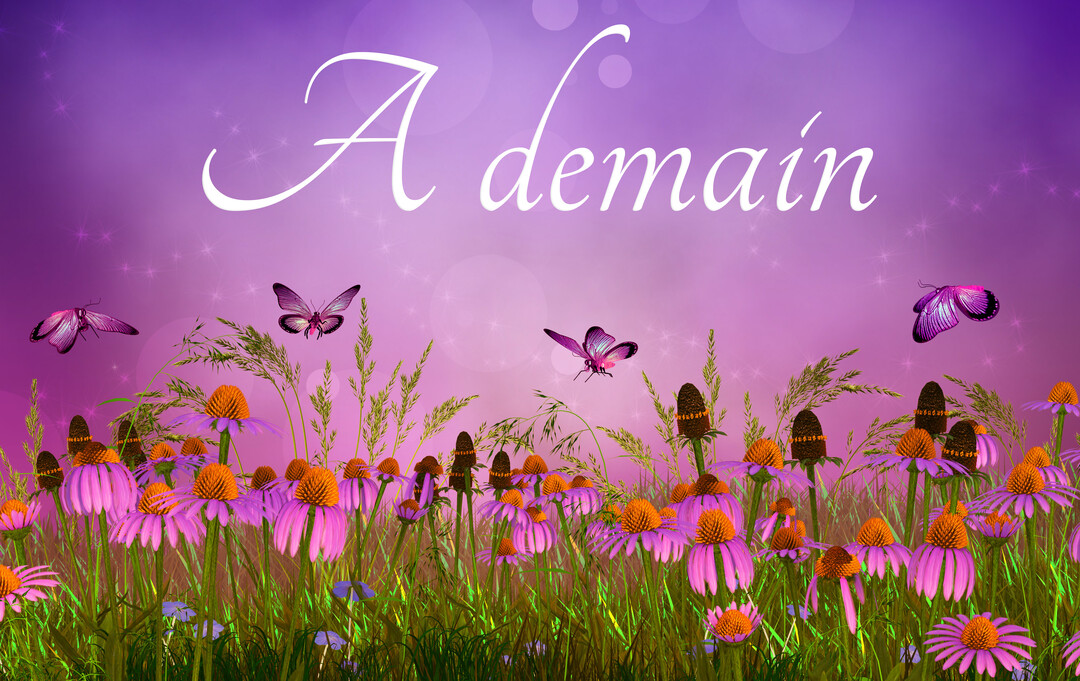 Une illustration féerique montre un champ de fleurs mauves et des papillons violets volant sous un ciel étoilé avec l'inscription 'A demain'.