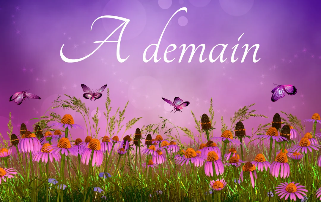 Une illustration féerique montre un champ de fleurs mauves et des papillons violets volant sous un ciel étoilé avec l'inscription 'A demain'.