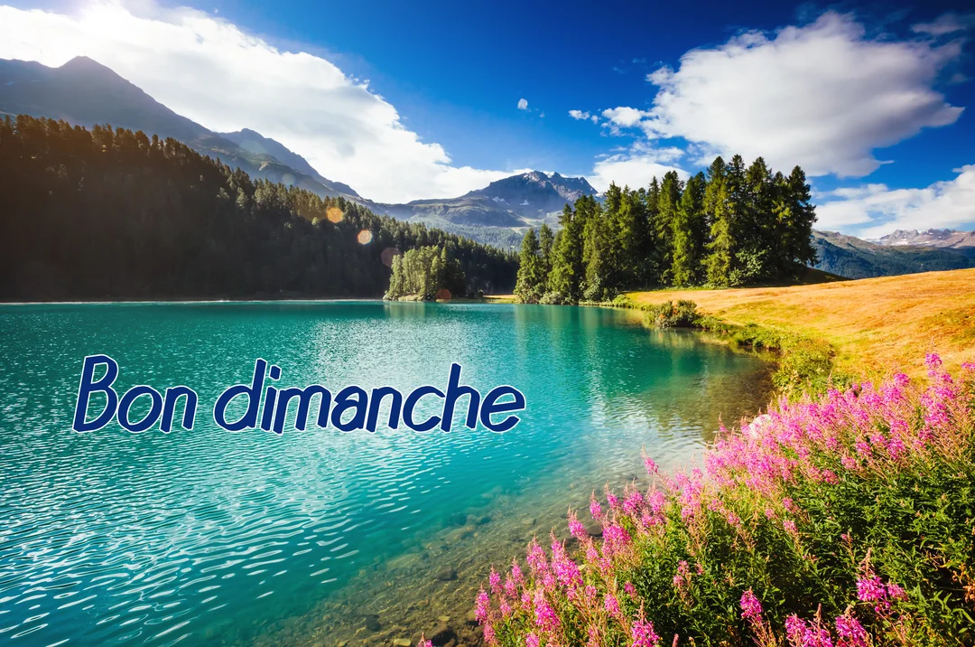 Paysage estival d'un lac alpin aux eaux turquoise, bordé de forêts et de fleurs, sous un ciel bleu avec l'inscription 'Bon dimanche'.