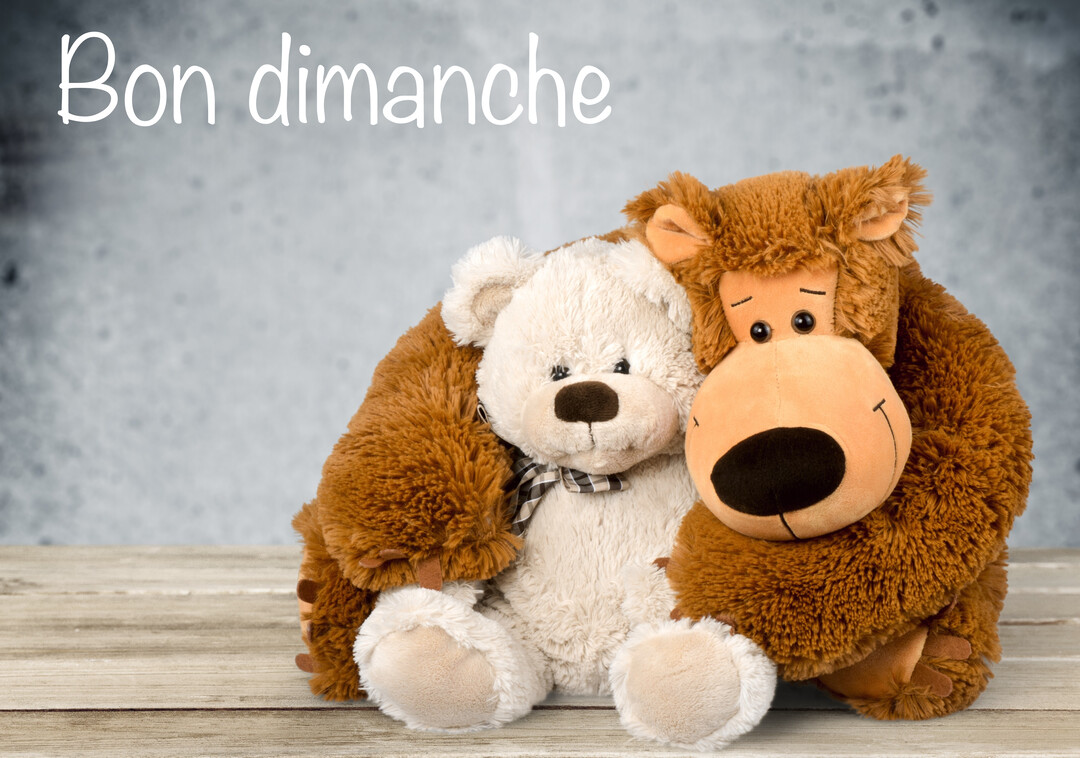 Un singe en peluche marron enlace tendrement un ours en peluche beige, tous deux assis sur une surface en bois avec un fond gris texturé.